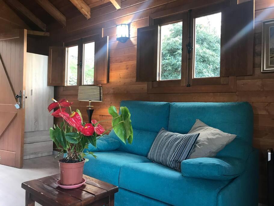 Cozy Mountain Chalet La Orotava Εξωτερικό φωτογραφία